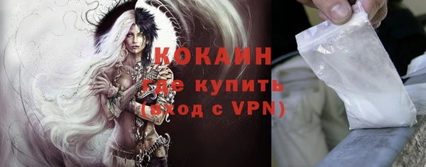 мдпв Осташков