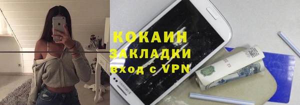 мдпв Осташков
