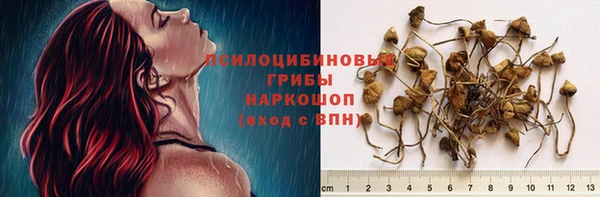 синтетический гашиш Карпинск